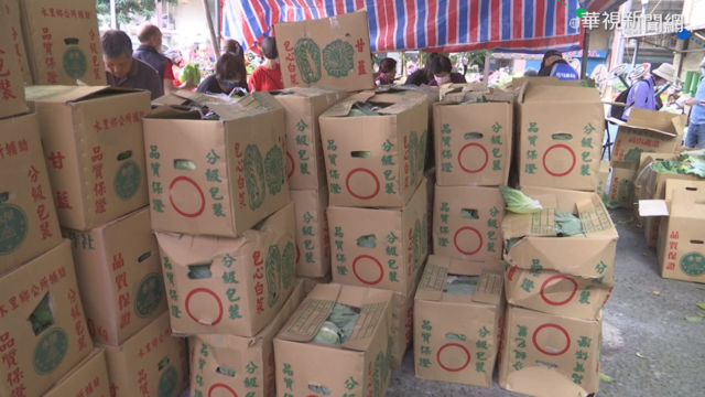 高麗菜過剩價崩 宮廟訂購免費送