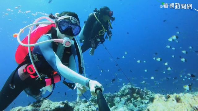 帛琉泡泡下週一開賣 頂級豪華團20萬