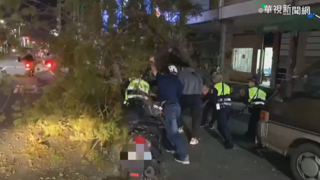 200公斤大樹砸人車 警民合力抬樹救人