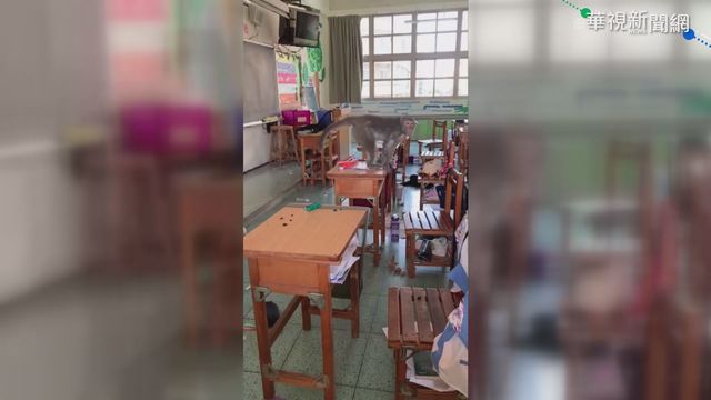 獼猴搜刮食物 搶路人早餐.翻教室抽屜