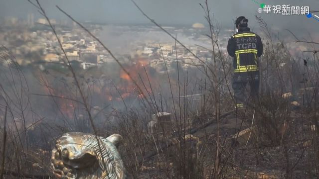 台中兩週231件公墓火警 消防員累壞