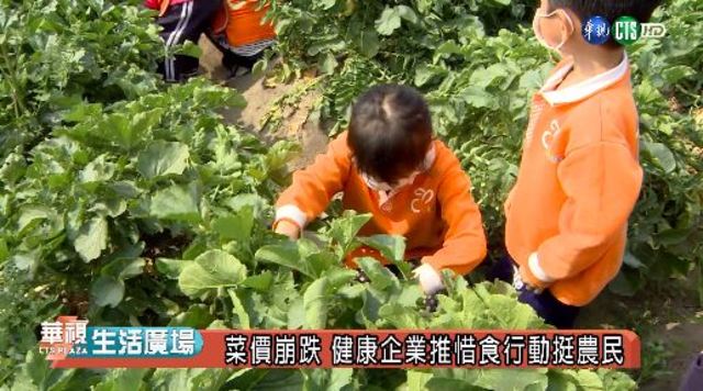 菜價崩跌 健康企業推惜食行動挺農民
