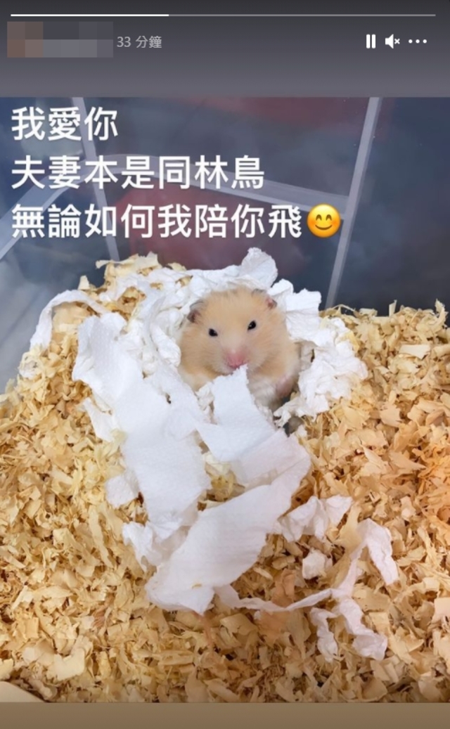 （翻攝Instagram）