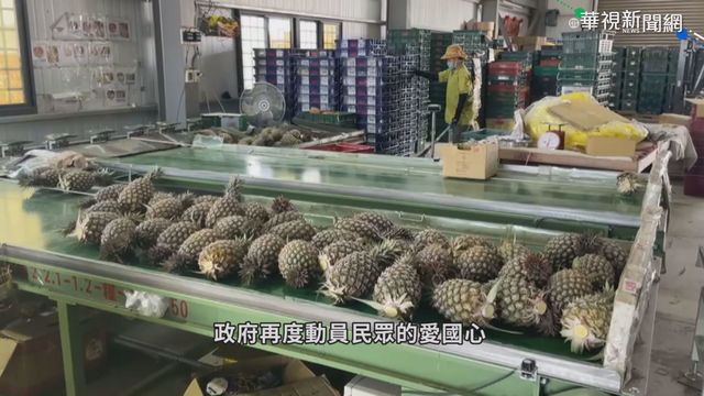 依賴單一市場 鳳梨面臨產銷失衡危機