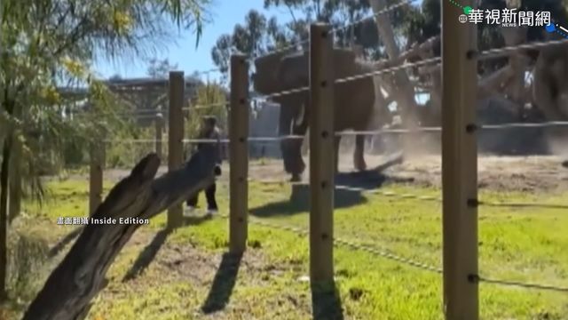 不要命! 父抱2歲女闖動物園柵欄自拍