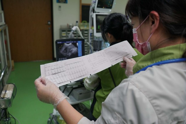 獸醫師初步研判「莎夏」的心臟功能較差，健康情形需要加強照顧、並進行後續追蹤。(動物園提供)