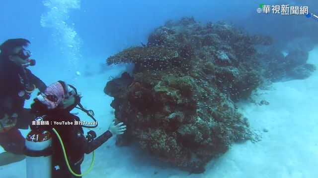 台帛旅遊下週開跑!回台自主管理5天