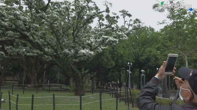 無｢雨｣問蒼天!全台轉晴降雨機率小