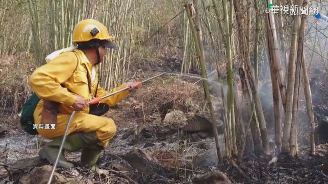 阿里山狂燒5天 人為亂丟菸蒂釀禍!