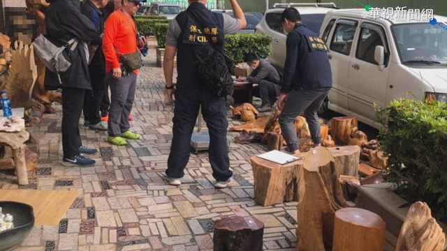 ｢滅鼠專案｣發威 查獲逾40萬元贓木
