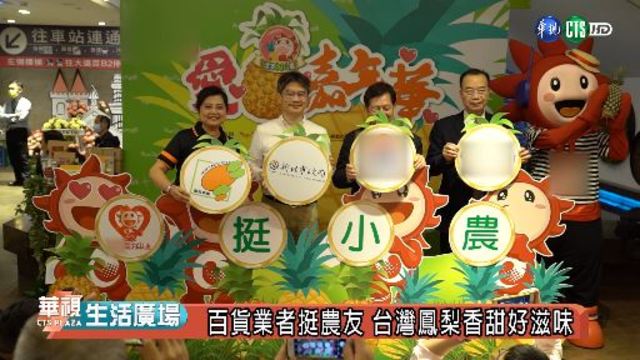 百貨業者挺農友 台灣鳳梨香甜好滋味