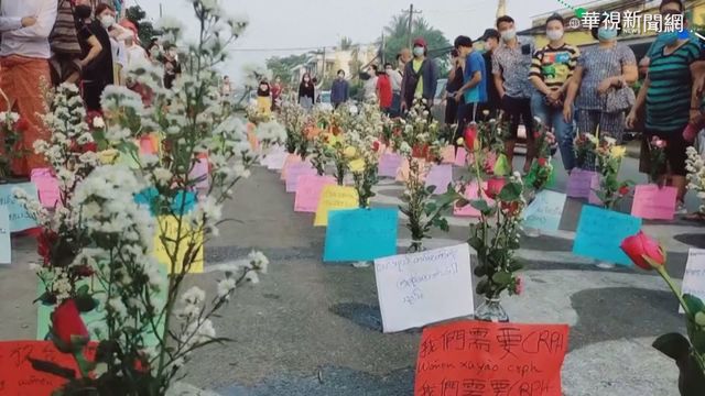 緬甸示威者放鮮花 盼民主之春到來