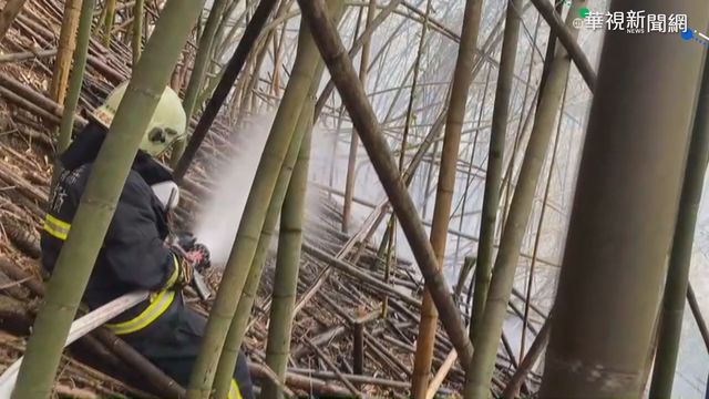 嘉義阿里山再冒火 林務局急開防火巷