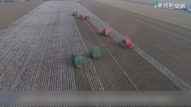 新疆棉議題發酵 總統籲北京停止壓迫