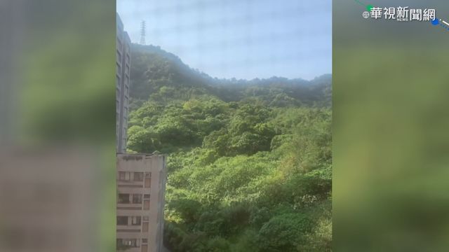 南港山區驚傳｢恐龍吼聲｣ 影片曝光