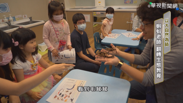 以大自然為師 蝌蚪老師翻轉生態教育