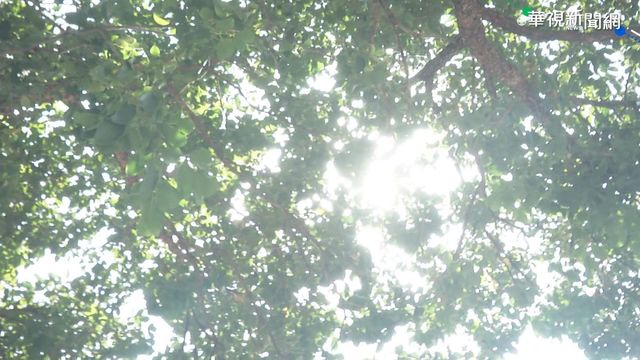 好天氣持續！高溫可達30度…清明連假「天氣變化」出爐