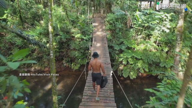 帛琉面積不足2個北市 海洋資源豐富