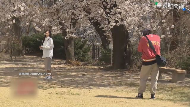 東京新增475例 創單日最高確診病例