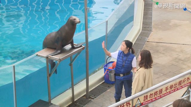 兒童節衝一波! 遊樂園祭優惠搶商機
