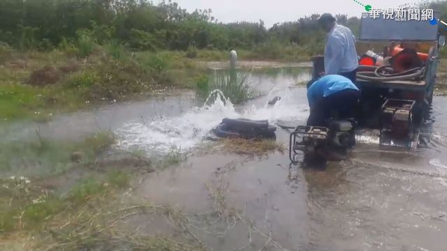 水管漏水淹果園 農民憂心血泡湯