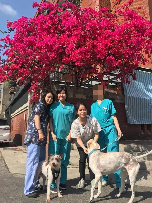 翻攝自臉書粉絲專頁「恩亞動物醫院」。