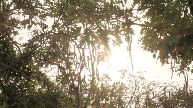 天氣穩定！高溫飆29度 留意日夜溫差