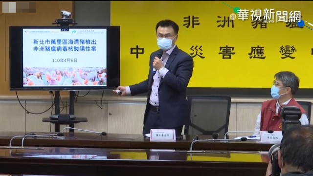 我國本島首例！海漂豬驗出非洲豬瘟陽性
