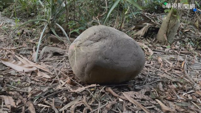 公墓火災 石頭不堪高溫爆裂毀民宅