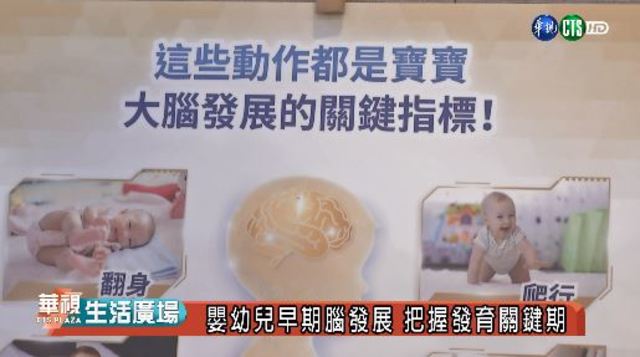 嬰幼兒早期腦發展 把握發育關鍵期
