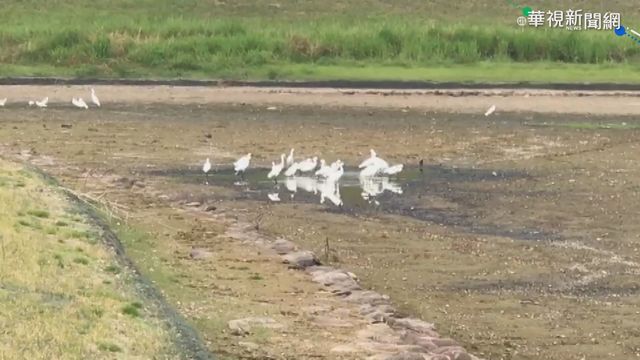 湖乾涸淪爛泥 ｢湖畔第一景｣美景變調