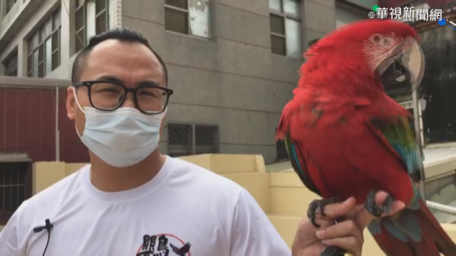 東石漁港賞景遇鳥襲 遊客手機險被搶