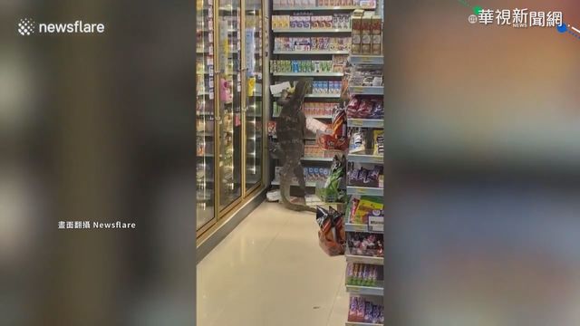 巨蜥闖曼谷超市爬貨架 採買民眾驚嚇