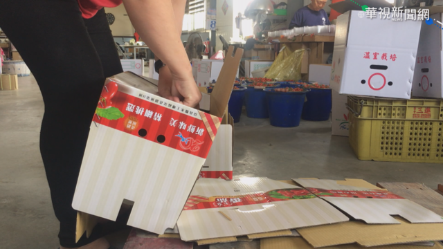 進口紙漿量緊縮 國內農用紙箱短缺