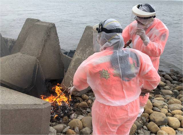 彰化洋仔厝大排出水口發現1豬屍 非洲豬瘟檢驗陰性