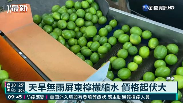 天旱無雨屏東檸檬縮水 價格起伏大