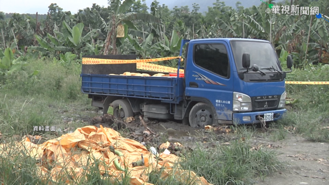 綑綁偷蕉賊致死 蕉農遭判刑3年定讞