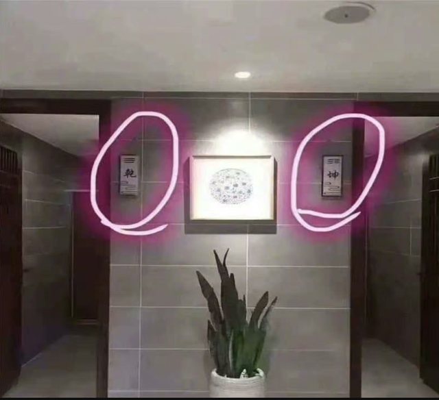 廁所外只標示「乾、坤」 她一看慌了：該進哪間？