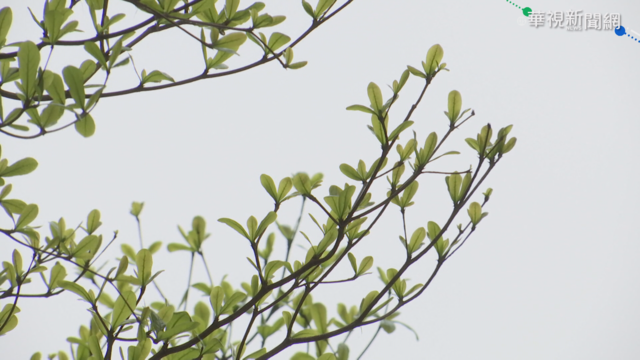 「舒力基」恐掀3米長浪 一張圖看本週降雨熱區