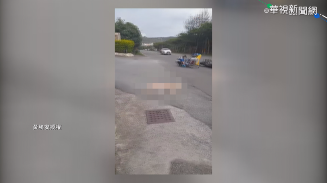 墾丁梅花鹿遭重機衝撞 鹿死騎士傷