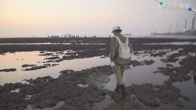 環團邀總統到大潭藻礁 府:規劃合適時間