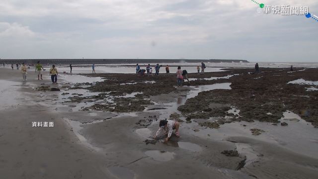 三接擬外推1公里內護藻礁 環團拒接受