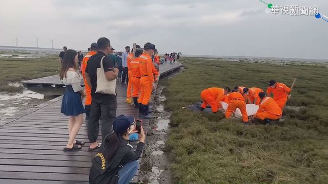 200kg抹香鯨擱淺高美濕地 搶救不及亡