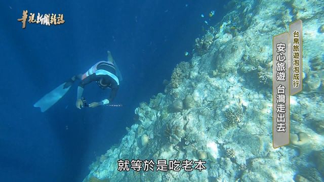 安心旅遊 台灣走出去 ｜台帛旅遊泡泡成行｜華視新聞雜誌