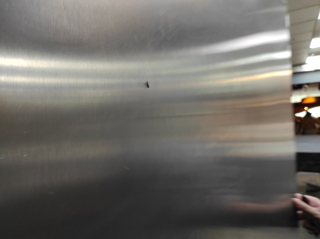 衛生局稽查RAW餐廳發現有病媒出沒情況。（北市衛生局提供）