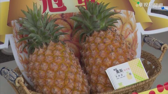 不愧是台南! 金鑽鳳梨冠軍甜味25度