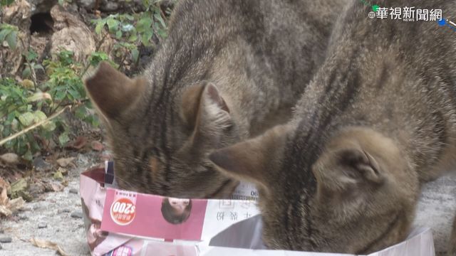 動保法修正 飼主棄養.不作為視同虐待