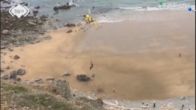 西班牙小牛掉下懸崖 直升機出動救援