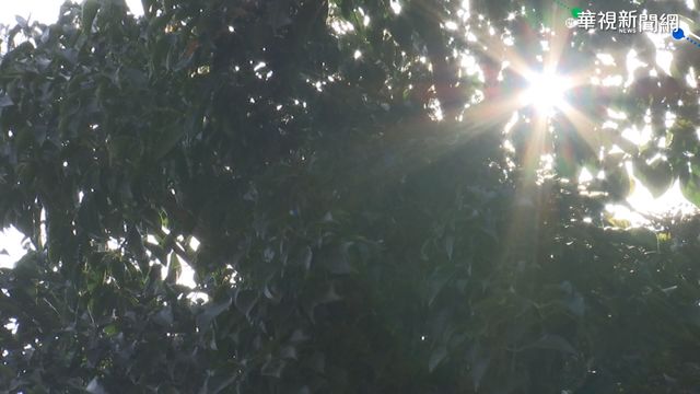 敏感族群留意！西半部「橘色提醒」 高溫達32度