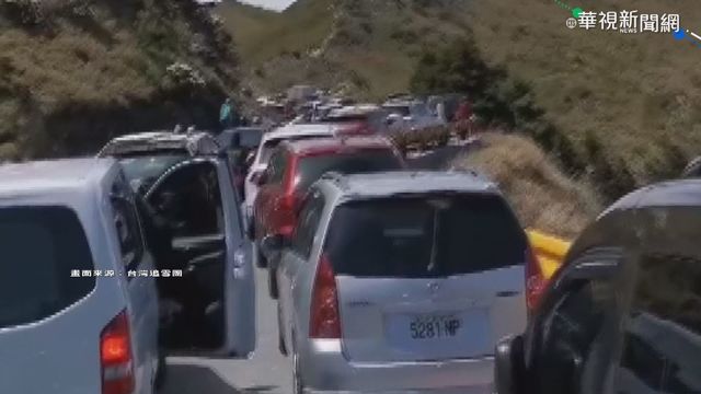 連假衝合歡山賞杜鵑 武嶺回堵5公里